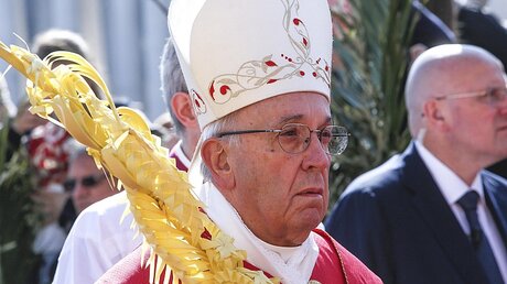 Papst Franziskus feiert Palmsonntag auf dem Petersplatz / © Giuseppe Lami  (dpa)