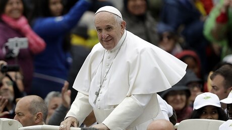 Papst Franziskus auf seinem Papamobil  / © Andrew Medichini (dpa)