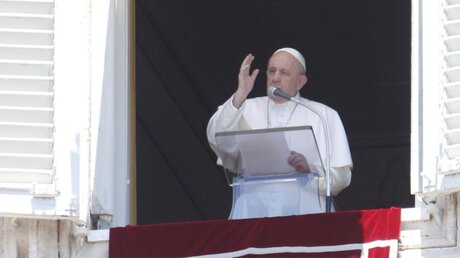 Papst Franziskus betet den Angelus / © Riccardo De Luca/AP (dpa)