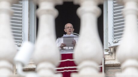 Papst Franziskus beim Mittagsgebet / © Andrew Medichini (dpa)