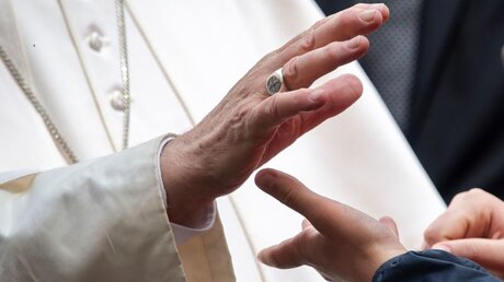 Papst Franziskus im Gespräch (Symbolbild) / © AM113 (shutterstock)