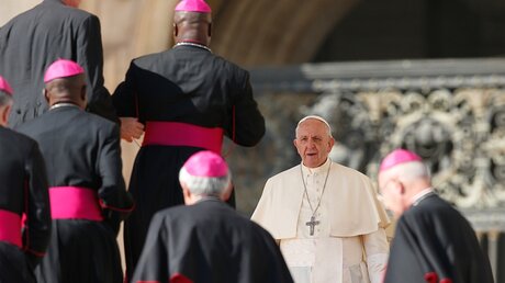Papst Franziskus umgeben von Bischöfen im Vatikan / © Paul Haring (KNA)