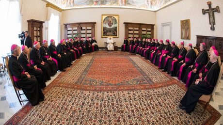 Papst Franziskus und argentinische Bischöfe / © Vatican Media/Romano Siciliani (KNA)