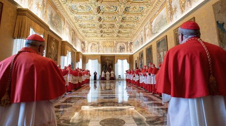Papst Franziskus verleiht acht Kardinälen einen neuen Ehrenrang / © Vatican Media/Romano Siciliani (KNA)