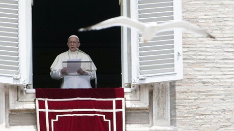 Papst Franziskus während des traditionellen Angelus-Gebets / © Maurizio Brambatti (dpa)