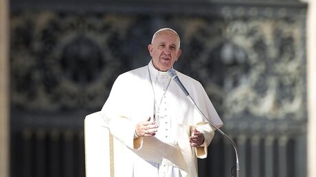 Papst Franziskus bei der Generalaudienz / © Claudio Peri (dpa)