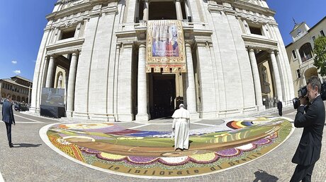 Franziskus beim Besuch der Basilika Santa Maria degli Angeli im August / © Osservatore Romano (KNA)