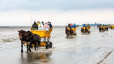 Pferde ziehen Wattwagen mit Touristen über den Strand der Insel Neuwerk / © Michael Althaus (KNA)