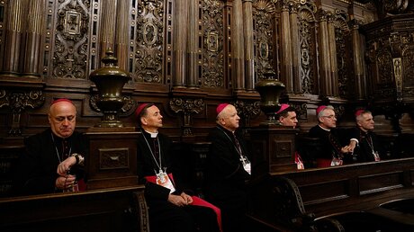 Polnische Bischöfe / © Paul Haring (KNA)