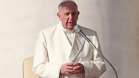 Papst Franziskus bei der Generalaudienz am 11. November / © Alessandro Di Meo (dpa)