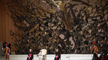 Papst Franziskus in der Vatikanischen Audienzhalle / © Claudio Peri (dpa)