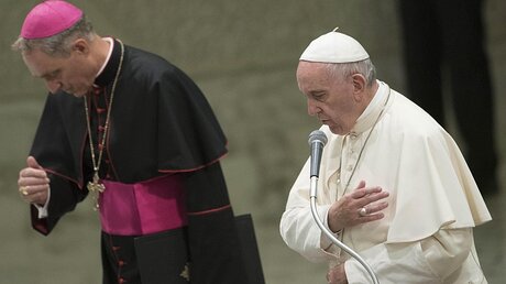 Papst bei der Generalaudienz / © Giorgio Onorati (dpa)