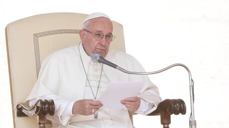 Generalaudienz mit Papst Franziskus / © Ansa/Claudio Peri (dpa)