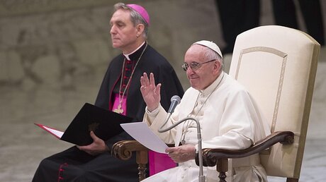 Papst Franziskus bei der Generalaudienz / © Giorgio Onorati (dpa)