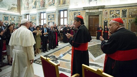 Franziskus bei der Audienz für den Päpstlichen Laienrat / © Osservatore Romano/Handout (dpa)