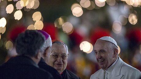 Papst Franziskus im Gespräch / © Angelo Carconi (dpa)