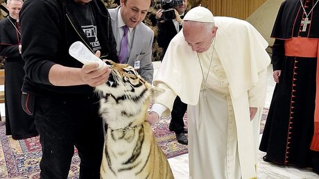 Papst Franziskus streichelt einen Tiger / © L'osservatore Romano / Handout (dpa)