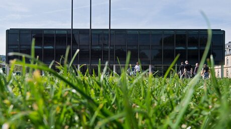 Gras wächst am 09.05.2016 in Stuttgart (Baden-Württemberg) vor dem sanierten baden-württembergischen Landtag.  / ©  Marijan Murat (dpa)