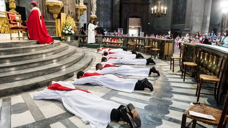 Bei der Priesterweihe schören die Weihekandidaten dem Bischof die Treue.  / © Corinne Simon (KNA)