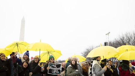 Pro-Life-Demonstranten mit gelben Schirmen beim March for Life in Washington (Archiv) / © Tyler Orsburn/CNS photo (KNA)
