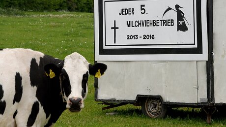 Protestplakat eines Milchbauerns / © Carsten Rehder (dpa)