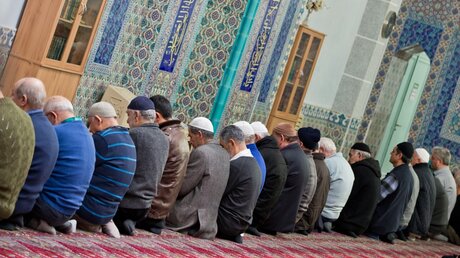 Muslime beim Gebet (dpa)