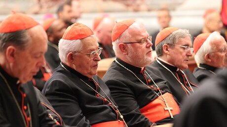 Kardinal Marx (3.v.l.): Einer von 115 wahlberechtigten Kardinälen / © Claudio Celli (InterMirifica)