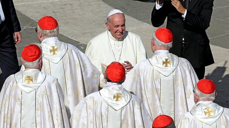 Papst Franziskus (dpa)