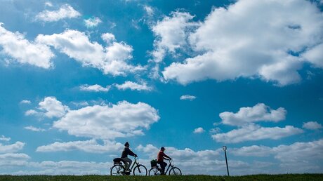 Fahrradfahrer unterwegs / © Jens Büttner (dpa)