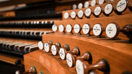 Register an der Orgel im Limburger Dom / © Julia Steinbrecht (KNA)