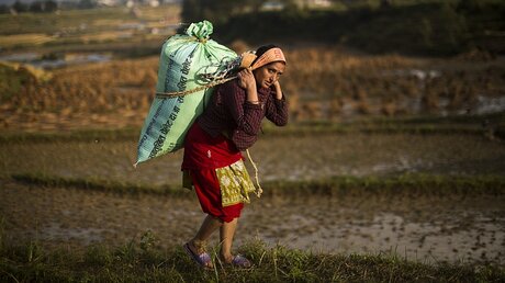 Ein Frau trägt in der Nähe von Kathmandu, Nepal, einen Sack Reis (28.10.14) (dpa)