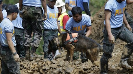 Rettungshelfer suchen mit Hilfe von Spürhunden nach Opfern / © Aaron Favila (dpa)