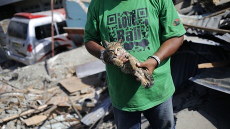 Sa'adon Lawira hält die Katze seines Enkels, dessen Leiche durch das Schreien der Katze unter den Trümmern des Hauses der Familie gefunden wurde / © Dita Alangkara (dpa)