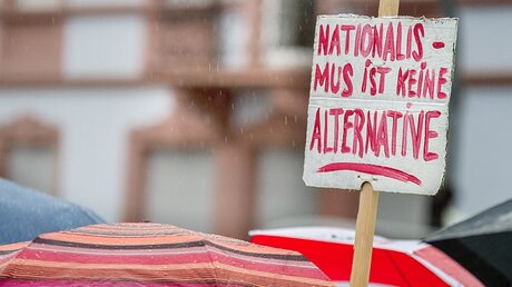Schild "Nationalismus ist keine Alternative" bei einer AfD-Kundgebung / © Silas Stein (dpa)