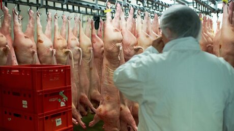 In der Fleischindustrie arbeiten viele Werkvertragsarbeiter (dpa)