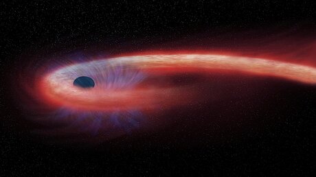 Schwarzes Loch / © M.Weiss/NASA/Chandra X-ray Observatory/AP (dpa)