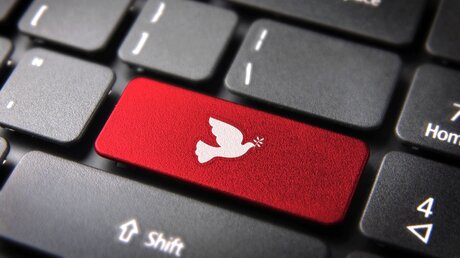 Symbolbild Friedenstaube auf einer Tastatur / © Cienpies Design (shutterstock)