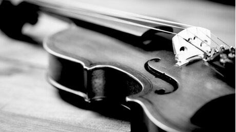 Symbolbild Geige / © Aleksandar Grozdanovski (shutterstock)