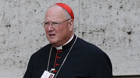 Kardinal Timothy M. Dolan, Erzbischof von New York / © Paul Haring (KNA)