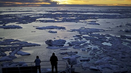 Treibeis in der Arktis / © David Goldman (dpa)
