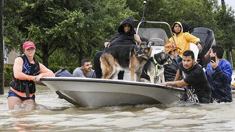 Freiwillige und Ersthelfer beim Tropensturm "Harvey"  / © Scott Clause (dpa)