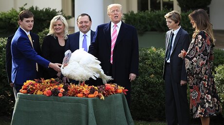 Trump begnadigt Truthähne vor Thanksgiving / © Manuel Balce Ceneta (dpa)