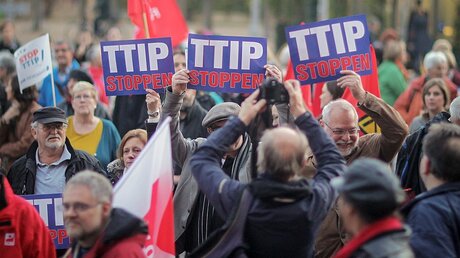 TTIP-Gegner bei einer Demo in Wiesbaden / © Fredrik von Erichsen (dpa)