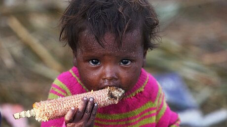 Kind mit einem Maiskolben / © Farooq Khan (dpa)