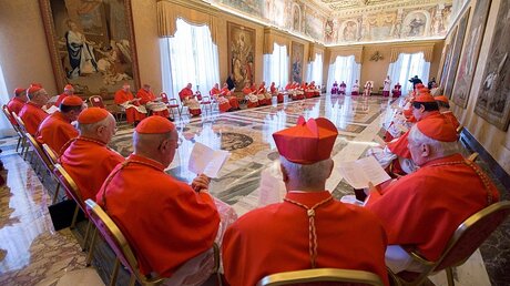 Papst Franziskus leitet ein ordentliches Konsistorium mit den Kardinälen / © L'osservatore Romano (dpa)