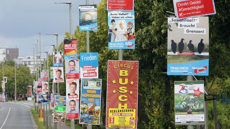 Wahlplakate für die Bundestagswahl 2017  / © Wolfgang Kumm (dpa)