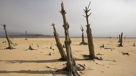 Wassernotstand in Südafrika / © Halden Krog (dpa)