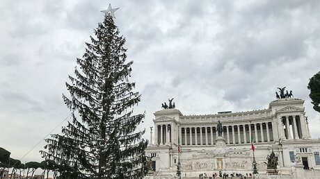 Weihnachtsbaum auf der Piazza Venezia in Rom / © Roland Juchem (KNA)