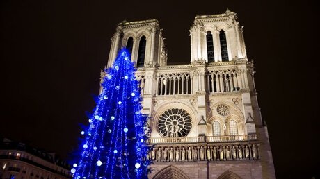 Weihnachtsbaum vor der Kathedrale Notre Dame / © Elena Dijour (shutterstock)