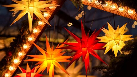 Leuchtende Weihnachtssterne / © Harald Oppitz (KNA)